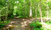 Trail Walking Longpont - en forêt de Retz_26_Longpont_Ermitage Saint Hubert_Malva_AR - Photo 17