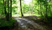 Trail Walking Longpont - en forêt de Retz_26_Longpont_Ermitage Saint Hubert_Malva_AR - Photo 16