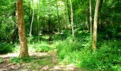 Tour Wandern Longpont - en forêt de Retz_26_Longpont_Ermitage Saint Hubert_Malva_AR - Photo 14