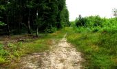 Trail Walking Longpont - en forêt de Retz_26_Longpont_Ermitage Saint Hubert_Malva_AR - Photo 20