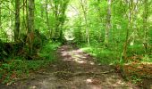 Trail Walking Longpont - en forêt de Retz_26_Longpont_Ermitage Saint Hubert_Malva_AR - Photo 11