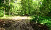 Tour Wandern Longpont - en forêt de Retz_26_Longpont_Ermitage Saint Hubert_Malva_AR - Photo 12