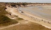 Tour Wandern Port-Bail-sur-Mer - Portbail - Photo 3