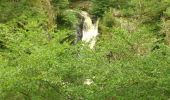 Tour Wandern Boisset - saut du bezan - Photo 4