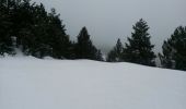 Tour Schneeschuhwandern Réal - PIC MADRES - Photo 7