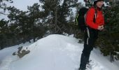 Tocht Sneeuwschoenen Réal - PIC MADRES - Photo 5