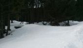 Randonnée Raquettes à neige La Llagonne - tour des lacs - Photo 16