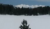 Tocht Sneeuwschoenen La Llagonne - tour des lacs - Photo 1