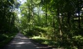 Trail Walking Colfontaine - Colfontaine - Circuit Natura 2000, des sites qui valent le détour - Ht5 - Photo 2