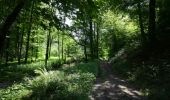 Trail Walking Attert - Nothomb - Circuit Natura 2000, des sites qui valent le détour - Lx14 - Photo 6