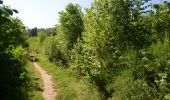 Trail Walking Arlon - Clairefontaine - Circuit Natura 2000, des sites qui valent le détour - Lx15 - Photo 6