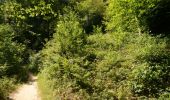 Trail Walking Arlon - Clairefontaine - Circuit Natura 2000, des sites qui valent le détour - Lx15 - Photo 7