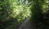 Trail Walking Arlon - Clairefontaine - Circuit Natura 2000, des sites qui valent le détour - Lx15 - Photo 14