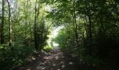 Trail Walking Arlon - Clairefontaine - Circuit Natura 2000, des sites qui valent le détour - Lx15 - Photo 12