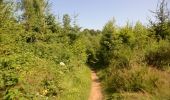 Trail Walking Arlon - Clairefontaine - Circuit Natura 2000, des sites qui valent le détour - Lx15 - Photo 11