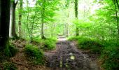 Trail Walking Longpont - en forêt de Retz_27_Longpont_Montgobert_Puiseux_AR - Photo 1