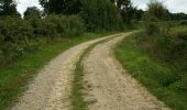 Tour Wandern La Roche-sur-Yon - (Compostelle) - de La Roche sur Yon au Champ Saint Père - Photo 2