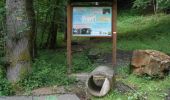 Trail Walking Daverdisse - Daverdisse - Sbémont (D1) - Photo 6
