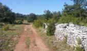 Tocht Stappen Le Caylar - Sud-Larzac - Photo 12