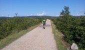 Trail Walking Le Caylar - Sud-Larzac - Photo 6