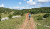 Trail Walking Le Caylar - Sud-Larzac - Photo 4