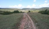 Tocht Stappen Le Caylar - Sud-Larzac - Photo 3