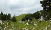Randonnée Marche Sainte-Marie-du-Mont - Croix de l''Alpe - Photo 5