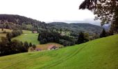 Excursión Senderismo Basse-sur-le-Rupt - Basse Sur le Rupt - Presle - Photo 2