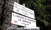 Tour Wandern Basse-sur-le-Rupt - Presle - Photo 10