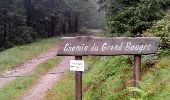 Randonnée Marche La Bresse - Autour du Rainkopf - Photo 2