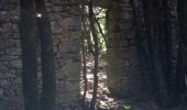 Randonnée Marche Thoiras - Les dolmens de la grande Pallière - Photo 5