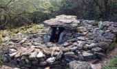 Randonnée Marche Thoiras - Les dolmens de la grande Pallière - Photo 8