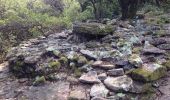 Tour Wandern Thoiras - Les dolmens de la grande Pallière - Photo 9