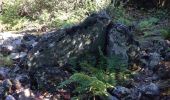 Randonnée Marche Thoiras - Les dolmens de la grande Pallière - Photo 4