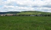 Tour Wandern Dorlisheim - Escapade dans le vignoble de Dorlisheim - Photo 13