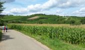 Randonnée Marche Dorlisheim - Escapade dans le vignoble de Dorlisheim - Photo 12