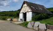 Trail Walking Dorlisheim - Escapade dans le vignoble de Dorlisheim - Photo 10