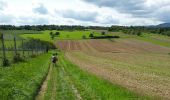 Trail Walking Dorlisheim - Escapade dans le vignoble de Dorlisheim - Photo 9