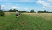 Tocht Stappen Dorlisheim - Escapade dans le vignoble de Dorlisheim - Photo 3