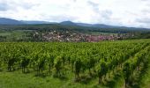 Trail Walking Dorlisheim - Escapade dans le vignoble de Dorlisheim - Photo 1