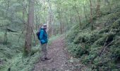 Trail Walking Yvoir - yvoir evrehailles yvoir + yvoir tricointe - Photo 6