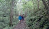 Trail Walking Yvoir - yvoir evrehailles yvoir + yvoir tricointe - Photo 5