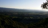 Trail Walking Maubec - Maubec-Oppède - Photo 2