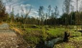 Trail Walking Momignies - Grande Traversée de la Forêt du Pays de Chimay (Great Crossing of the Chimay Forest) - Section 1: Macquenoise - Virelles - Photo 1