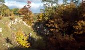 Randonnée Marche Chimay - Grande Traversée de la Forêt du Pays de Chimay - Tronçon 3 : Virelles - Olloy-sur-Viroin - Photo 17