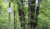 Tocht Stappen Chimay - Grande Traversée de la Forêt du Pays de Chimay (Great Crossing of the Chimay Forest) - Section 3: Virelles - Olloy-sur-Viroin - Photo 7