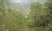 Trail Walking Saint-Guilhem-le-Désert - saint guilhem le desert - Photo 10