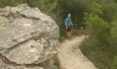 Randonnée Marche Saint-Guilhem-le-Désert - saint guilhem le desert - Photo 9