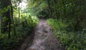 Trail Walking Braine-l’Alleud - Entre l'Ermite et Odeghien - Photo 5