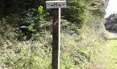 Randonnée Marche Sivry-Rance - ry de fromont 12 km - Photo 4